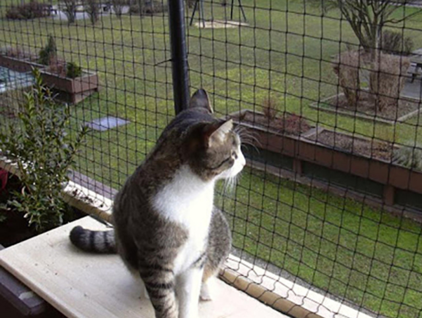 Evcil Hayvan Filesi Çalışamlarımız